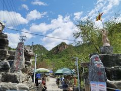 -大岭沟猕猴桃谷风景区