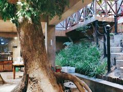 -天怡·鱼工厂(梅溪湖店)