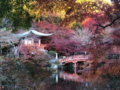 -醍醐寺
