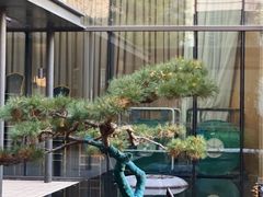 -泰康之家·申园