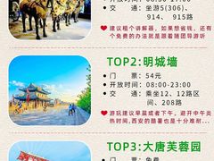 -秦始皇帝陵博物院(兵马俑)