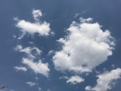 -紫颐香薰山谷景区