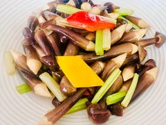 -道南書院·私房菜·早午茶·茶馆