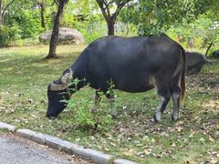 -杏花村文化旅游区
