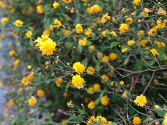 -亮亮面馆(经六路店)