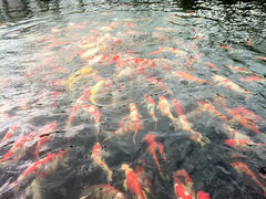 景观位-湖鲜楼