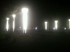 -明珠湖天鹅苑·农家菜馆