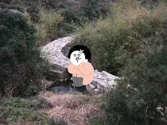 -大罗山风景区
