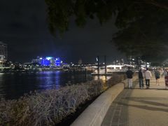 -布里斯班南岸公园