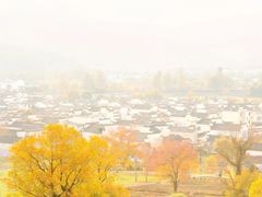 -塔川景区