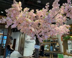 -简影造型·自选烫染接发salon