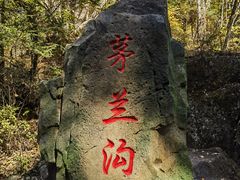 -茅兰沟国家森林公园