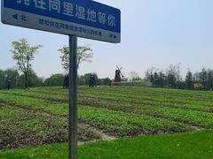 -同里国家湿地公园
