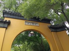 -西园戒幢律寺