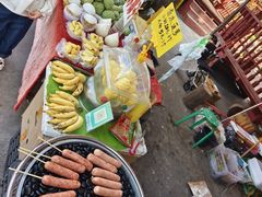 -西双版纳傣族园