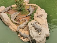 -南昌动物园