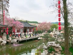 -武汉大学-樱园