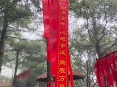 -秦岭天竺山生态文化旅游景区