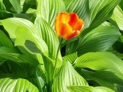 -长春公园(普阳街道)