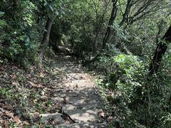 -杭州半山国家森林公园