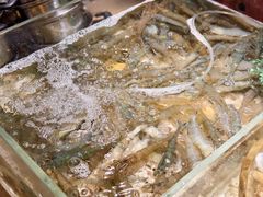 -上海神旺大酒店