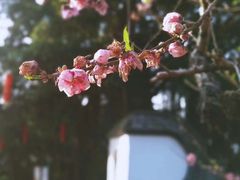 -乌山风景区