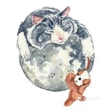搞怪萌宠🐭进行时🐾