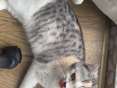 -贝利宠物医院·骨科·眼科·肿瘤转诊中心(南坪诊疗中心)