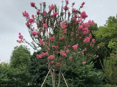 -杭州城北体育公园