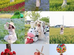 -杭州湾海上花田景区