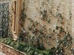 -上海昆虫博物馆