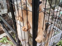 -马陆小张葡萄园农家乐