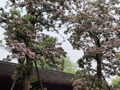 -吴山景区