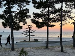 -南纪白浜Toretore市场