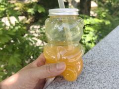 -石台牯牛降景区
