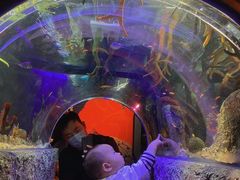 -沈阳海洋探索中心