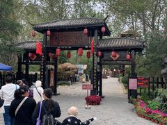 -合肥滨湖国家森林公园