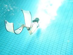 -重庆市奥林匹克体育中心-游泳跳水馆