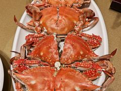 -宁波石浦大饭店(新材料城店)