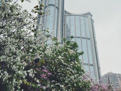 -天河体育中心