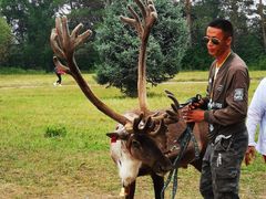 -北极村旅游风景区