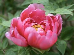 -江南大学(蠡湖校区)