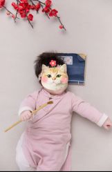 -美年亲子儿童摄影(合肥市滨湖新区金泉小区店)