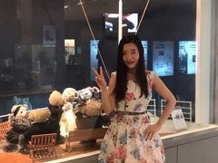 -济州岛泰迪熊博物馆