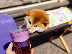 -HANA COFFEE(长寿路店)