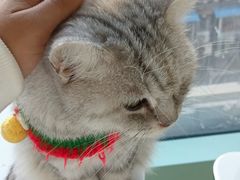 -怪兽屋·羊驼·猫咖·狗咖(俊华广场店)