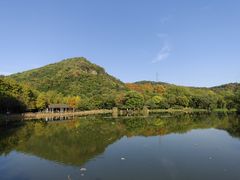 -八卦田遗址公园