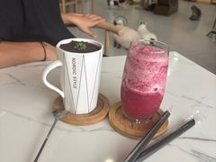 -喵园·猫主题咖啡厅·撸猫·猫咖(国贸店)