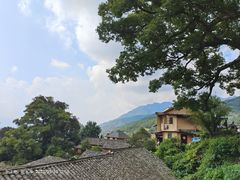 -杨家堂村
