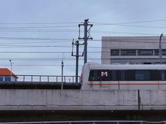 -海堤纪念公园